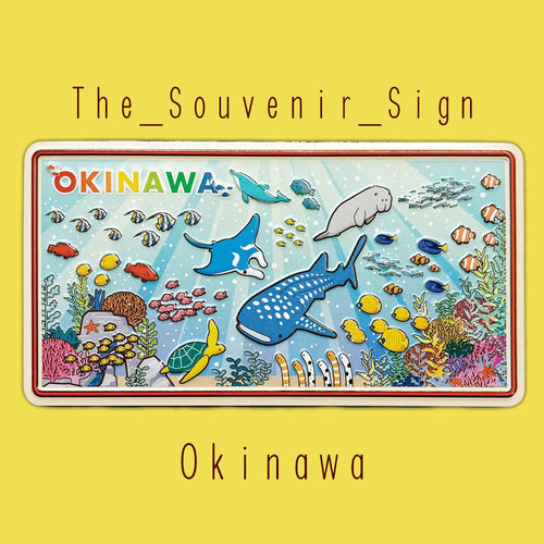 Okinawa B Ocean