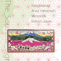 山梨 B 富士芝桜
